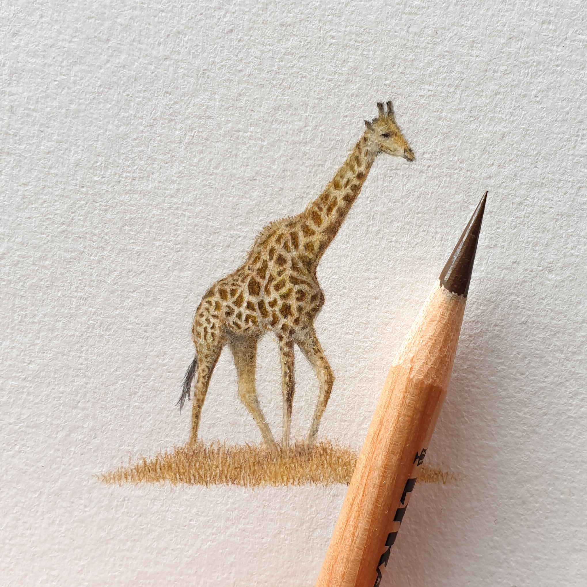 Giraffe Miniature Original (ORMINS1-4/10)
