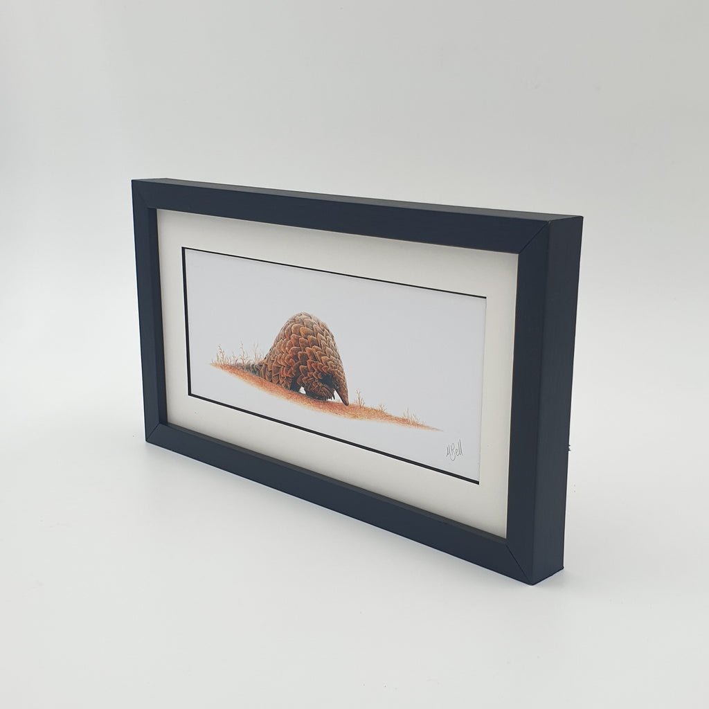Pencil drawing of a pangolin with a black wooden frame