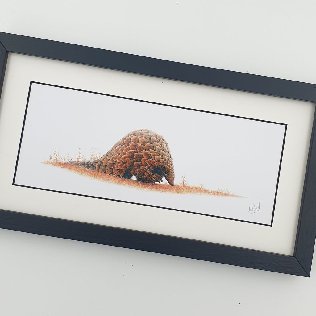 Pencil drawing of a pangolin with a black wooden frame