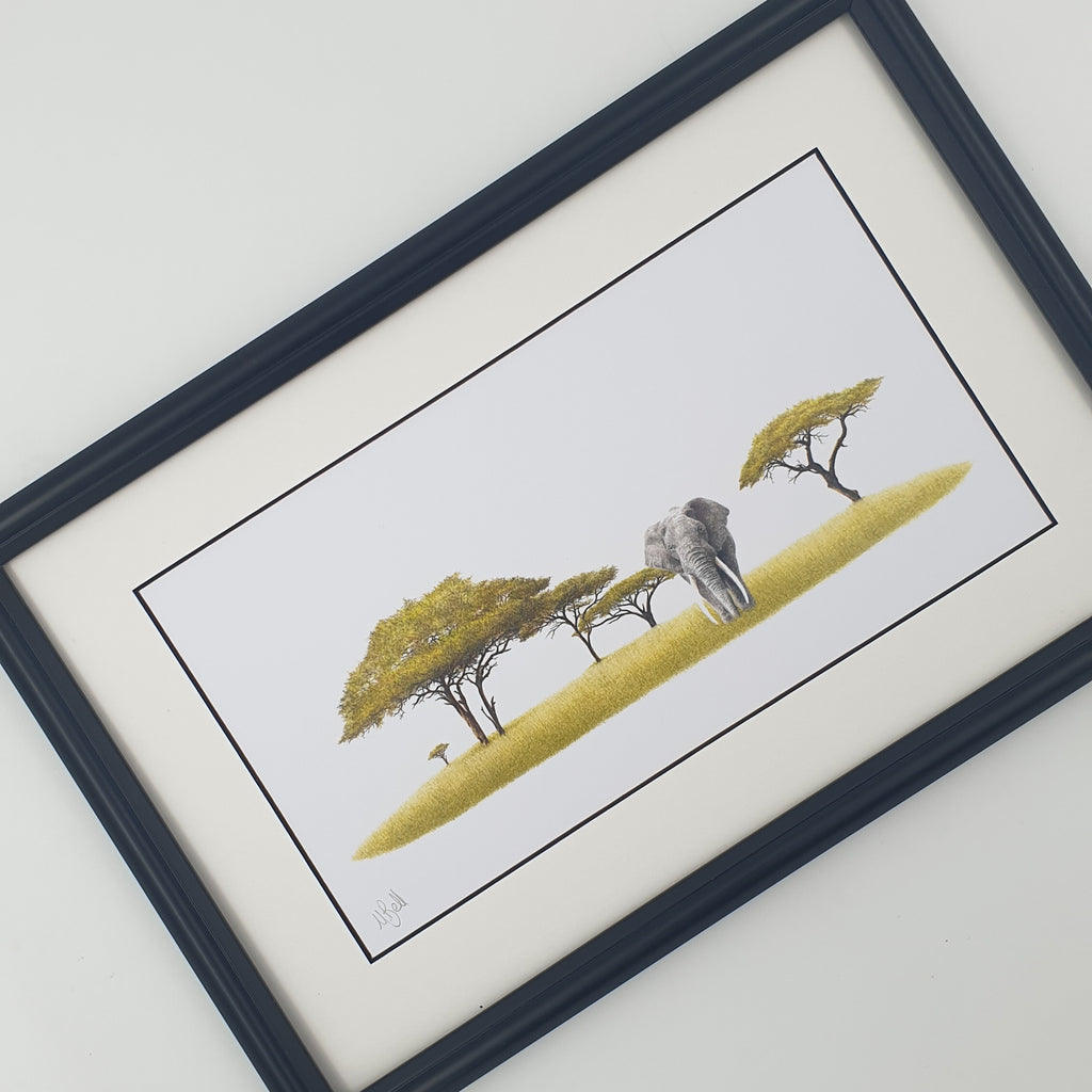 Elephant and acacia trees pencil drawing with a black frame