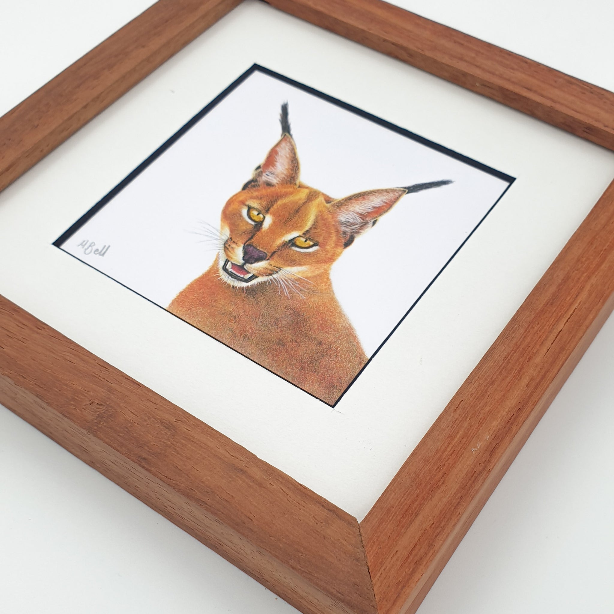 Caracal wildlife drawing with a wooden Kiaat frame