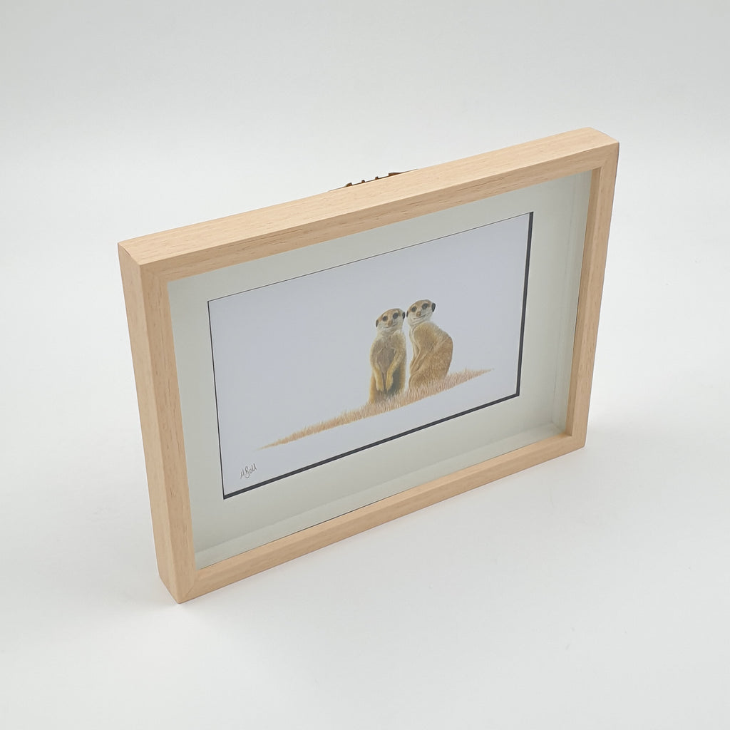 Meerkat framed artwork