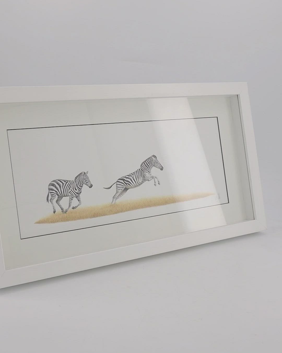 Zebras 4 - The Original - Framed