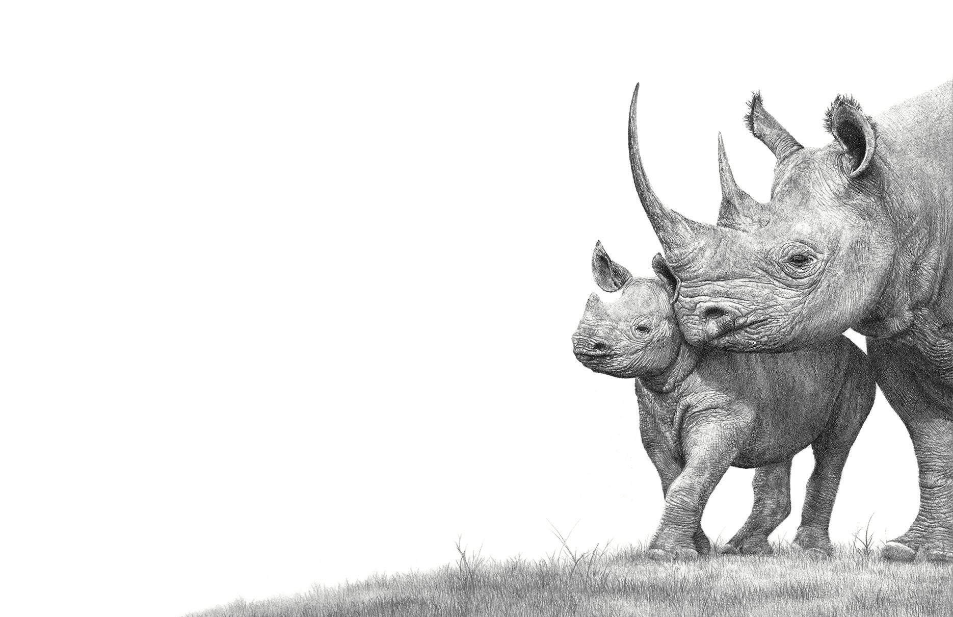 African Black Rhino mother and baby pencil artwork