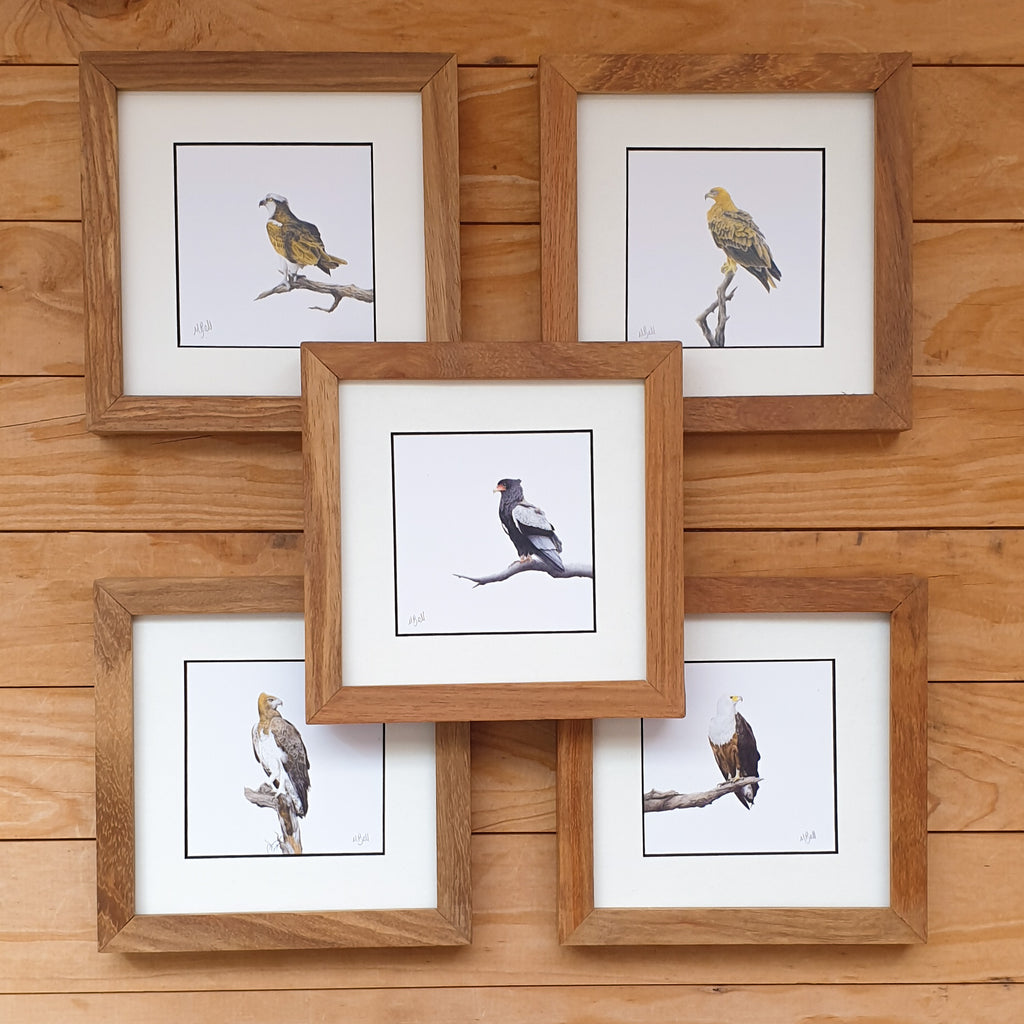 Martial Eagle, Tawny Eagle, Bateleur Eagle, African Fish Eagle, Osprey artworks with natural kiaat wood frame