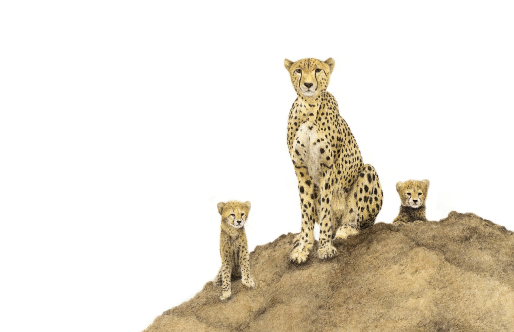 Cheetah mother and cubs in the Serengeti Kenya pencil art