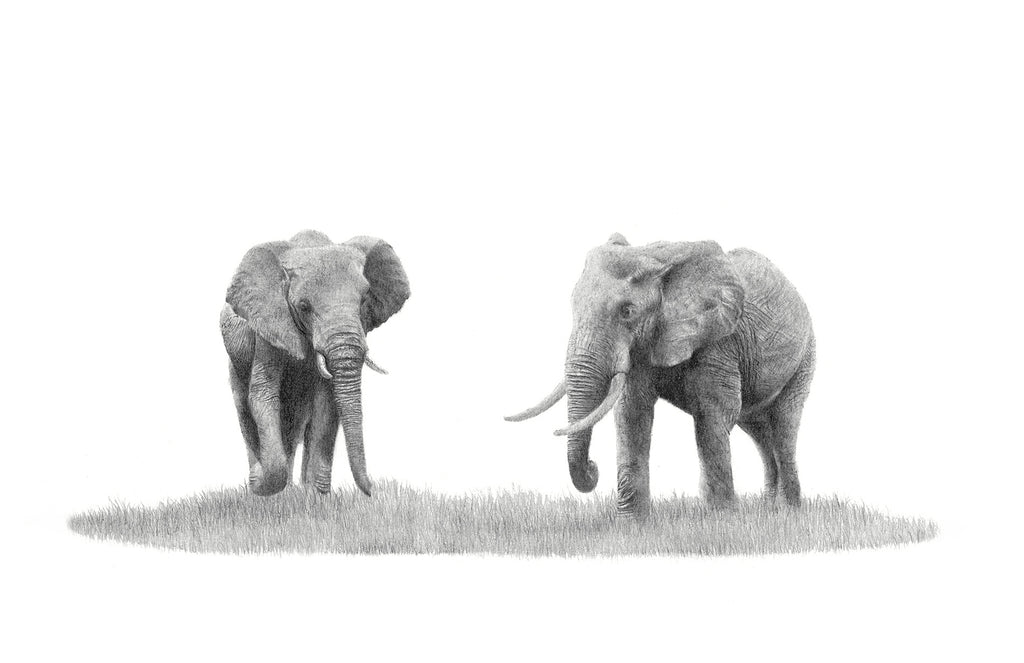 A pair of two African Elephants in the Serengeti in Tanzania