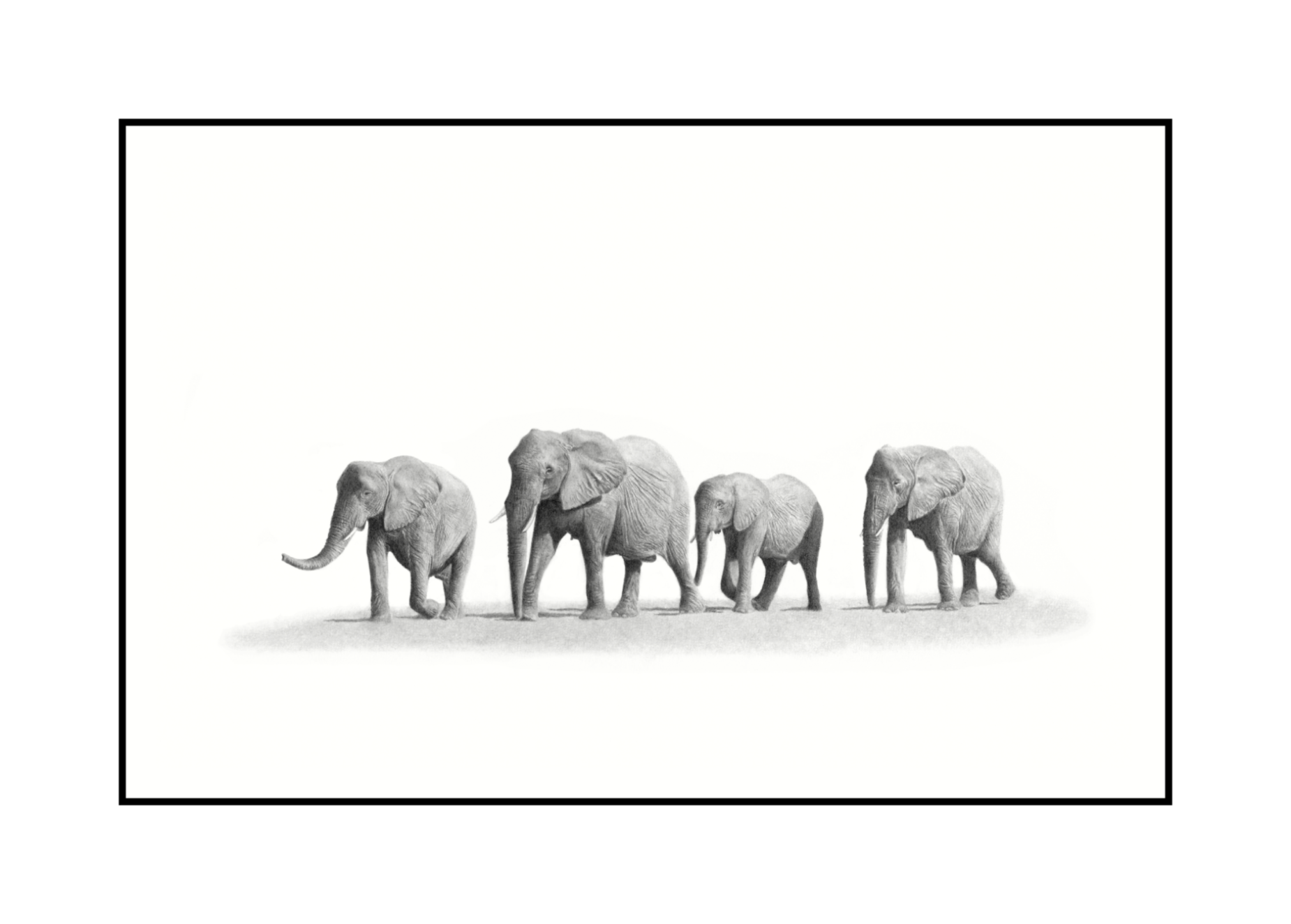 Set of 2 Elephant Family prints with synthetic black frames