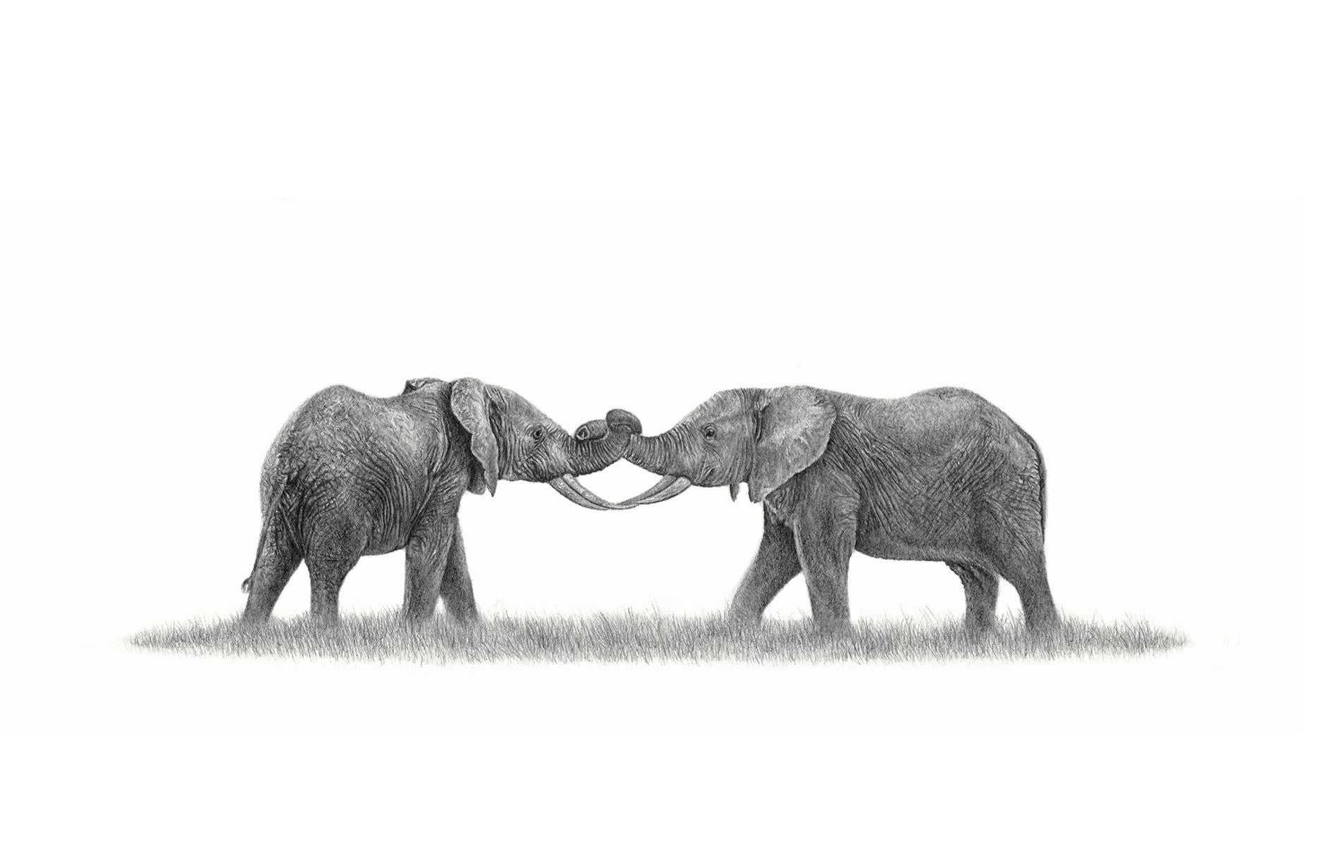 Two African Elephants playing in Botswana artwork