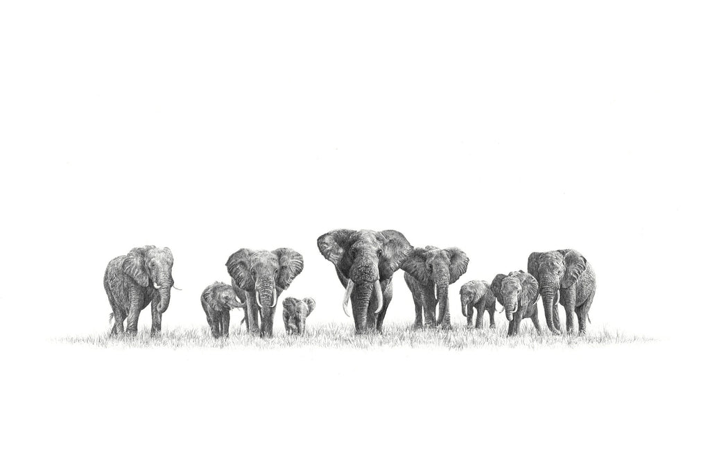 African Elephant Herd artwork 