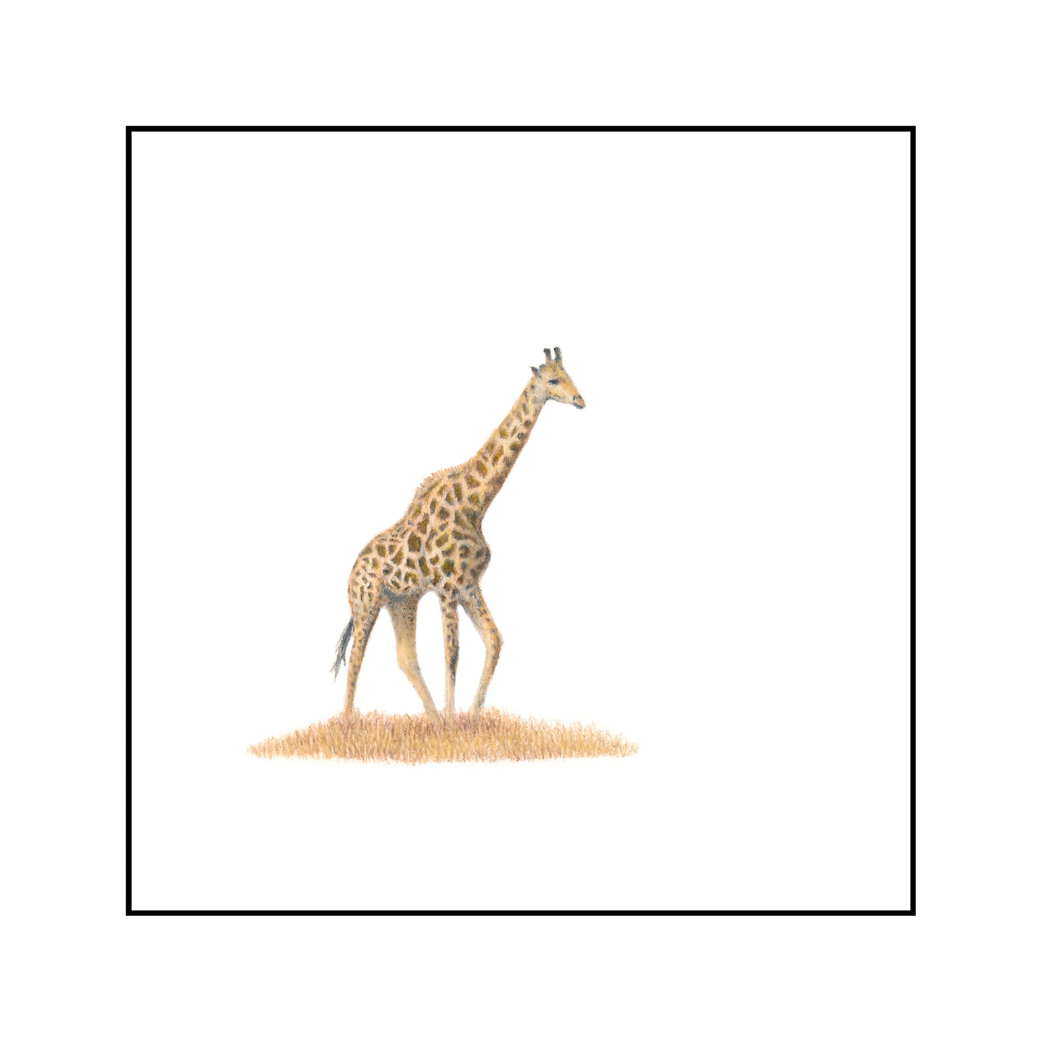 Giraffe Miniature Original (ORMINS1-4/10)