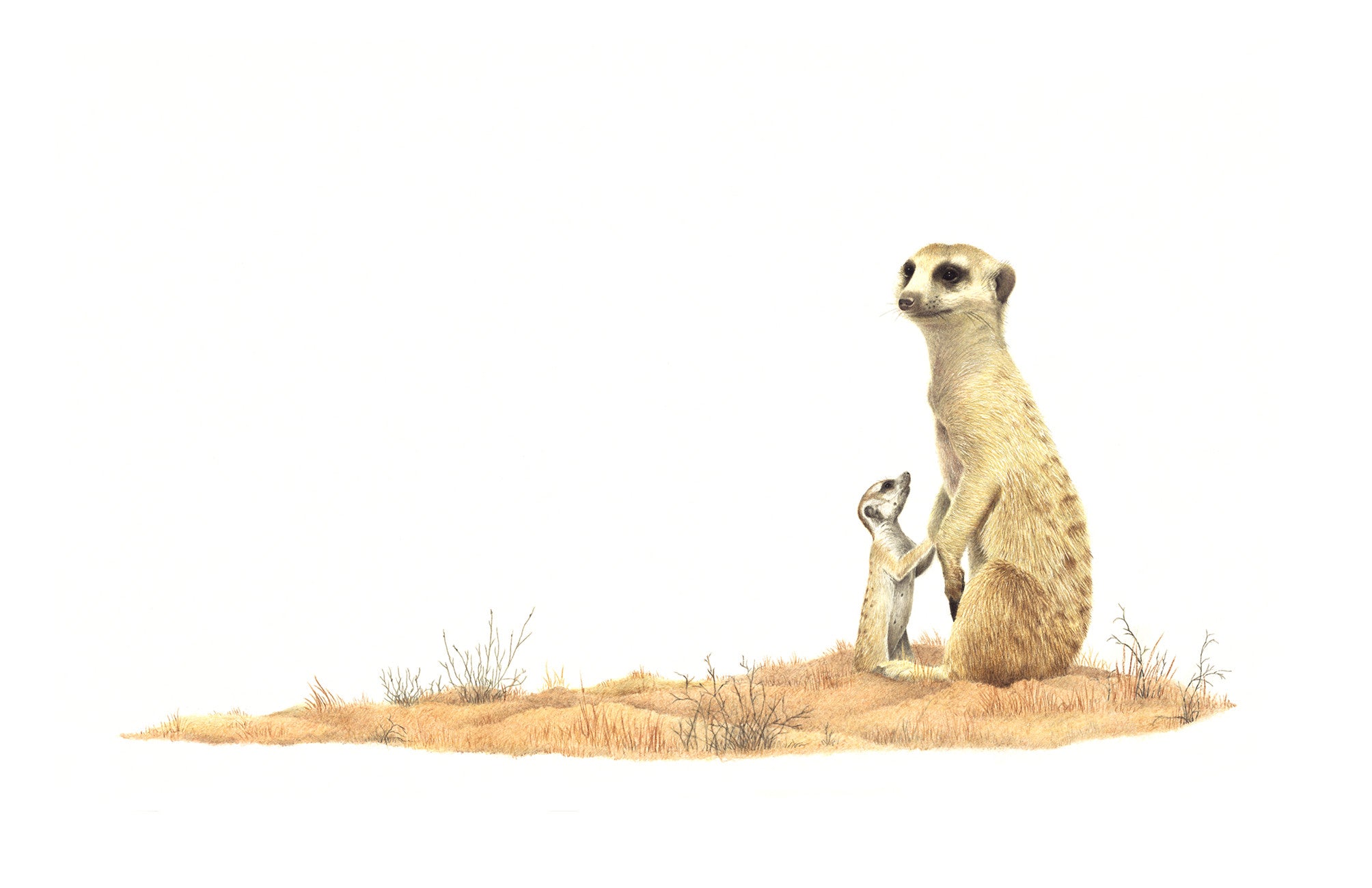 Artork of a mother and baby Meerkat in the Kalahari desert