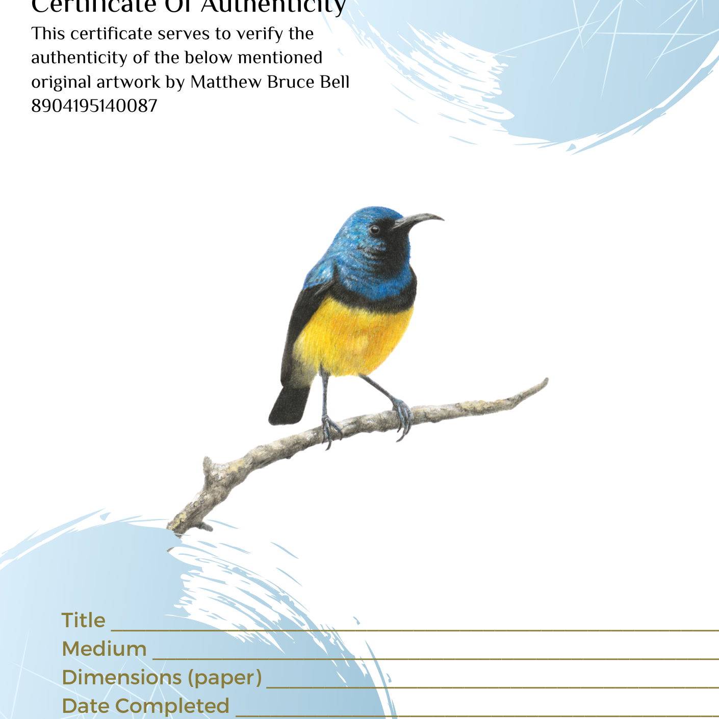 The original pencil artwork drawing of a Variable Sunbird