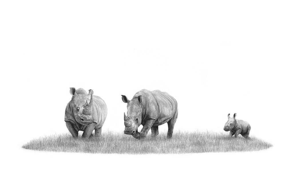 African White Rhino family with a baby pencil artwork