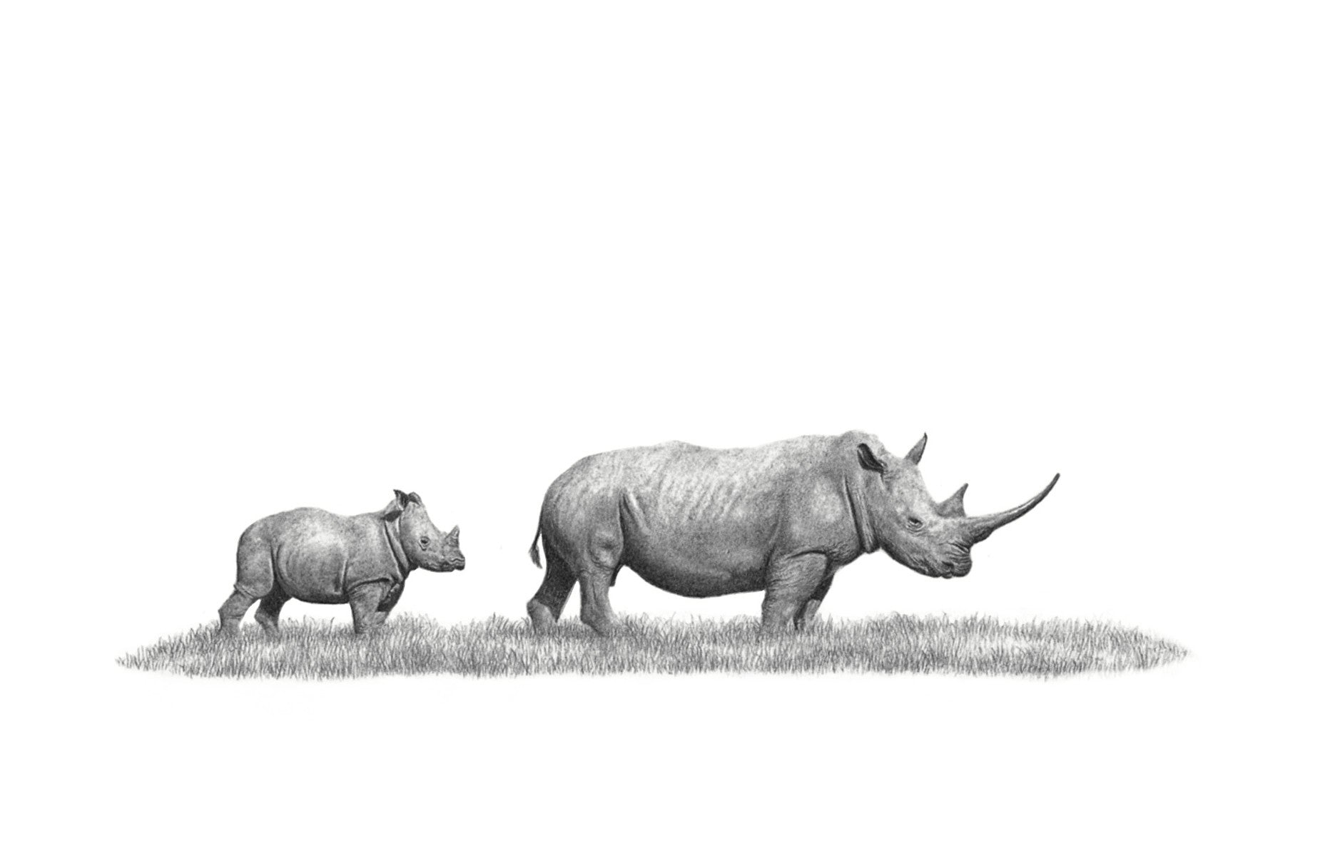 African White Rhino mother and baby original pencil artwork