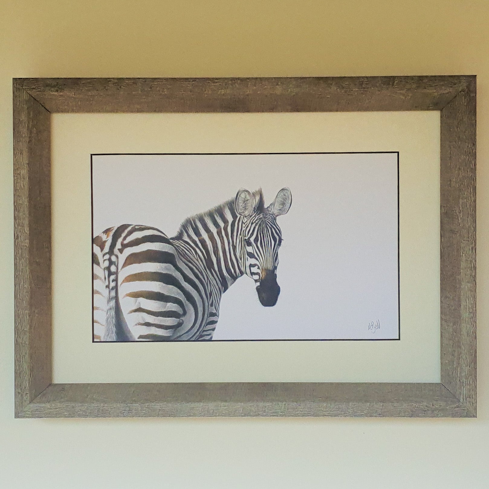 Zebra Portrait in a synthetic wood style frame