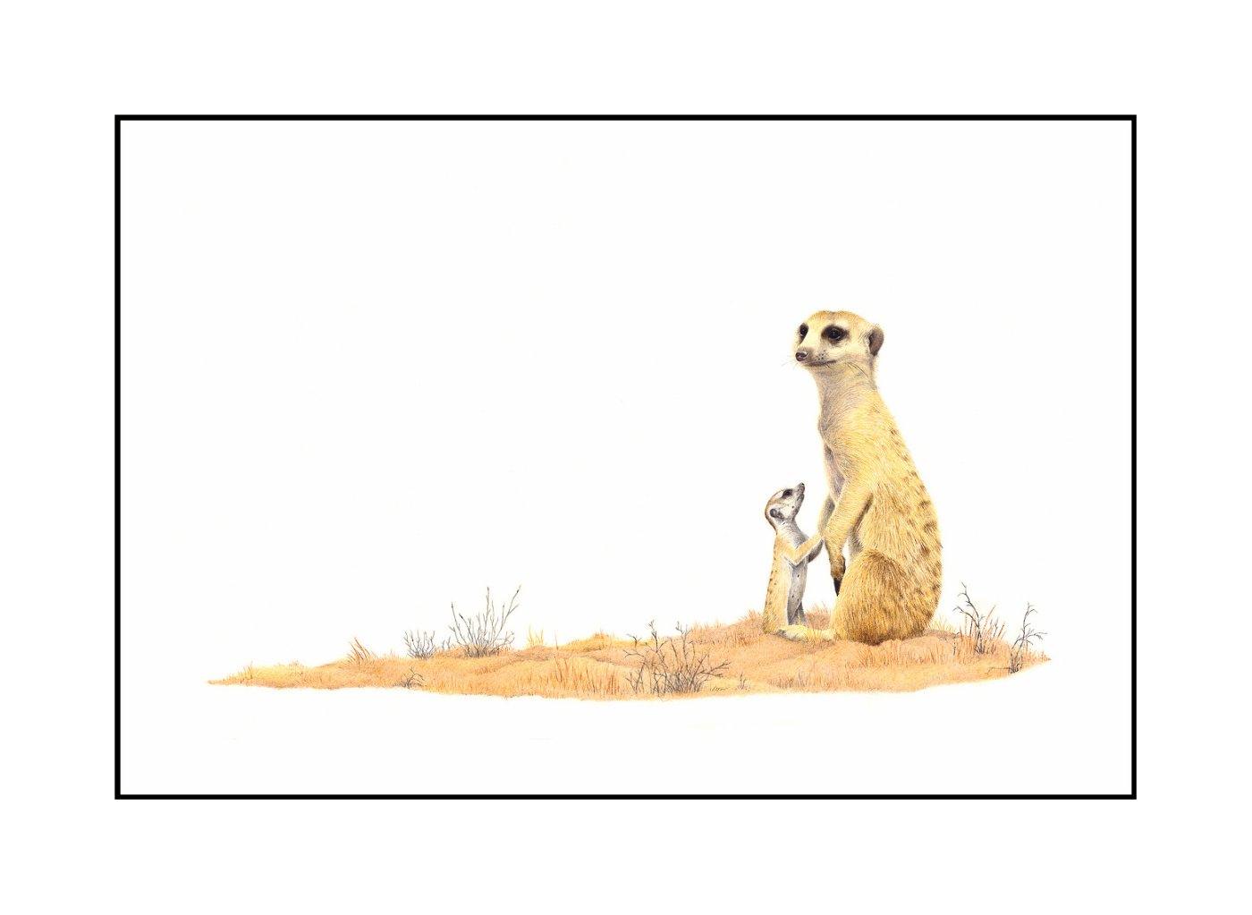 Meerkats 3 - The Original - Framed - 48 x 36cm - Matthew Bell Wildlife Art