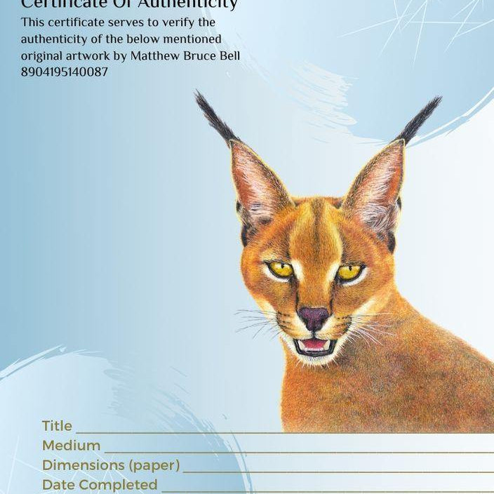 Caracal - The Original - Framed - 22 x 22cm - Matthew Bell Wildlife Art