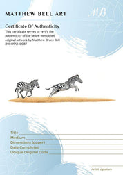Zebras 4 - The Original - Framed - 50 x 28cm - Matthew Bell Wildlife Art