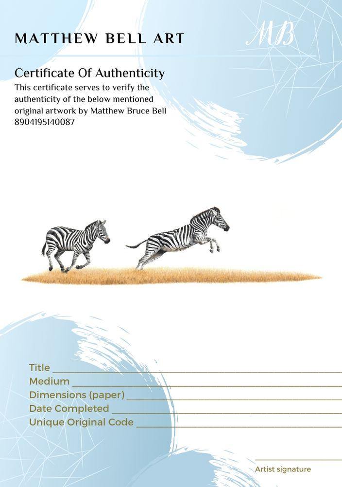 Zebras 4 - The Original - Framed - 50 x 28cm - Matthew Bell Wildlife Art
